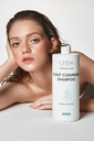 Limba Cosmetics Premium Line Mint Scalp Cleansing Shampoo, 1000 ml