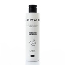 Limba Cosmetics Activator Hydrolyzed Silk Protein, 250 ml